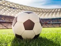 肖国栋张安,达世界公开,赛遭淘汰,开云体育,开云体育官网,开云体育app,开云体育平台,KAIYUN,SPORTS,kaiyun登录入口