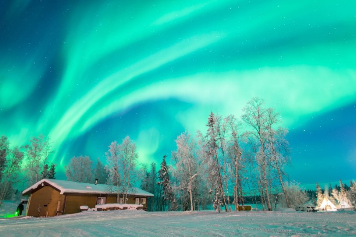 新西兰成世,界杯扩军最,大赢家,开云体育,开云体育官网,开云体育app,开云体育平台,KAIYUN,SPORTS,kaiyun登录入口